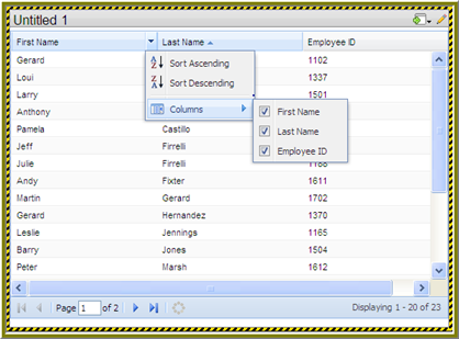 Data Table - Sort Order and Column Display