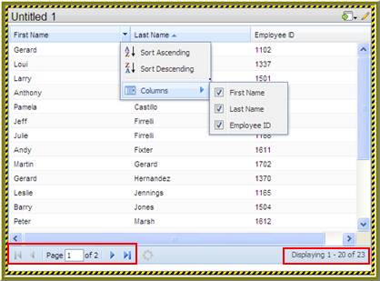 Data Table - Pagination